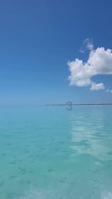游客手机掉下悬崖,河南大叔帮忙捡回,游客:河南真中